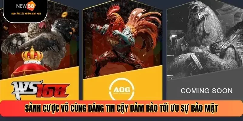 Sảnh cược vô cùng đáng tin cậy đảm bảo tối ưu sự bảo mật